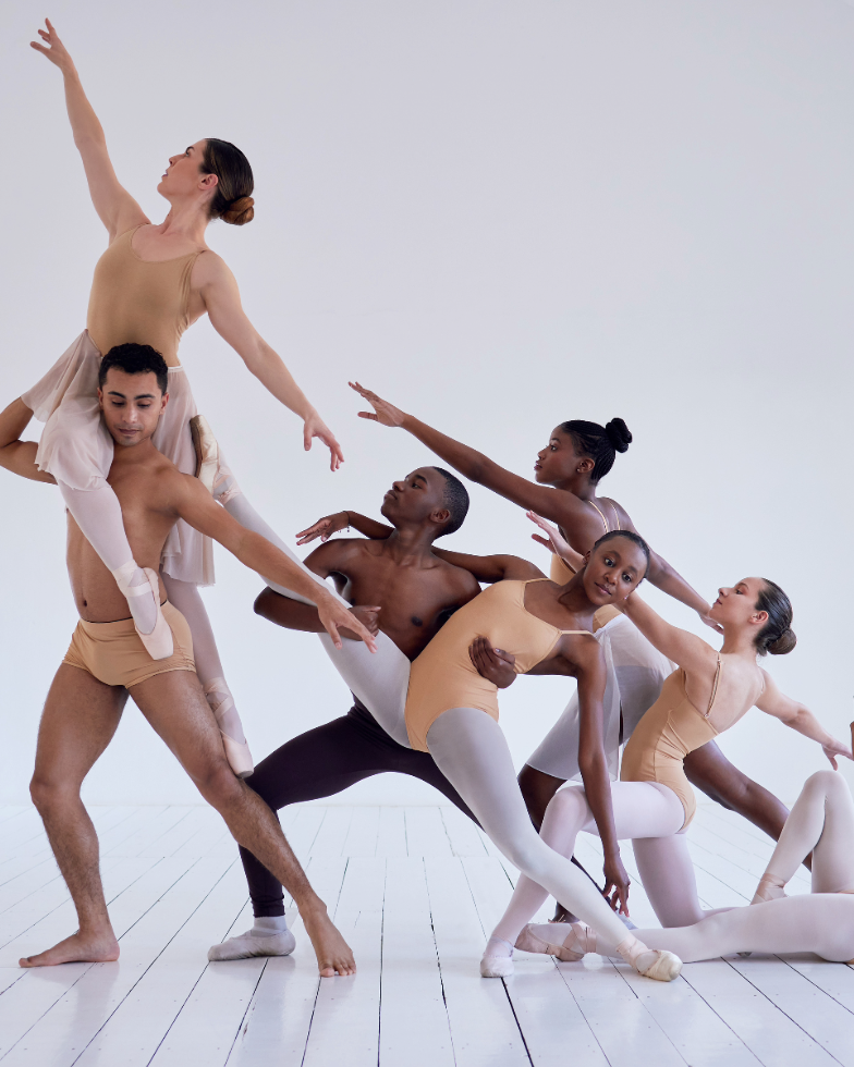 Dancecompany PatronManager